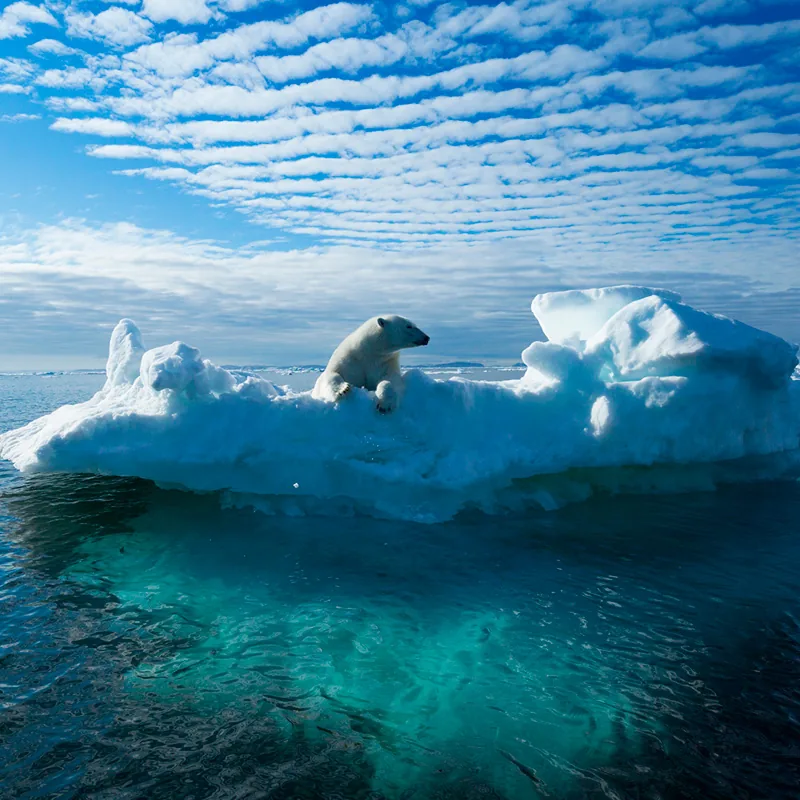 Acting As A Role Model In The Fight Against Climate Change And Global Warming