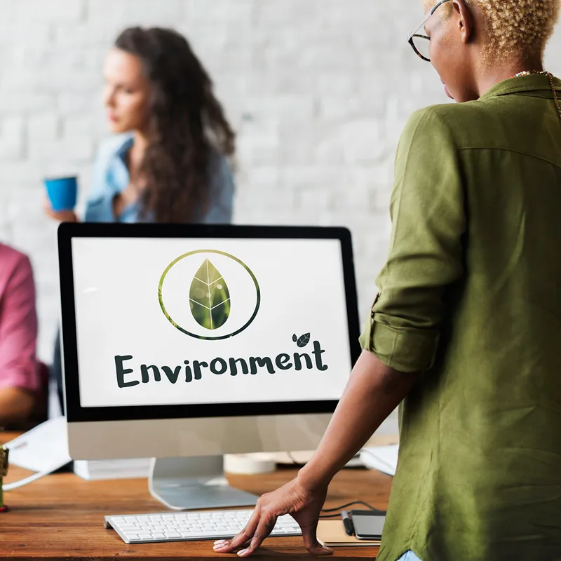 Who Owns Your Eco Friendly Business Website Software?
