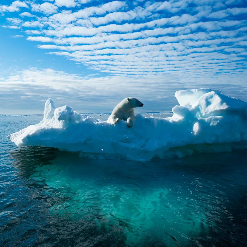 How Do We Help Mitigate Climate Change?