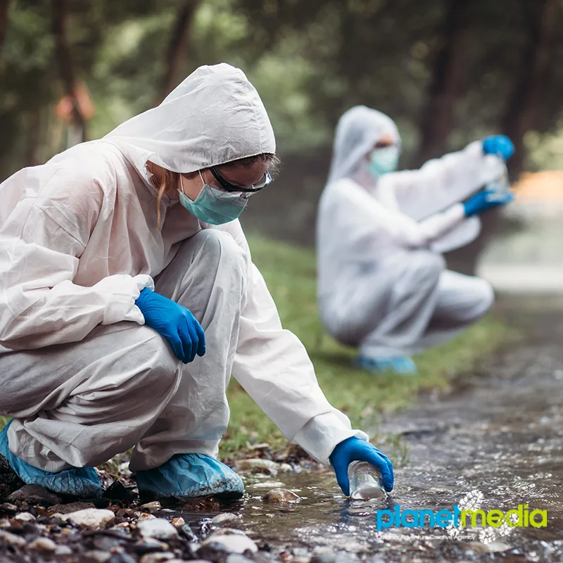 Follow These 4 Steps To Successfully Develop Your Environmental Brand