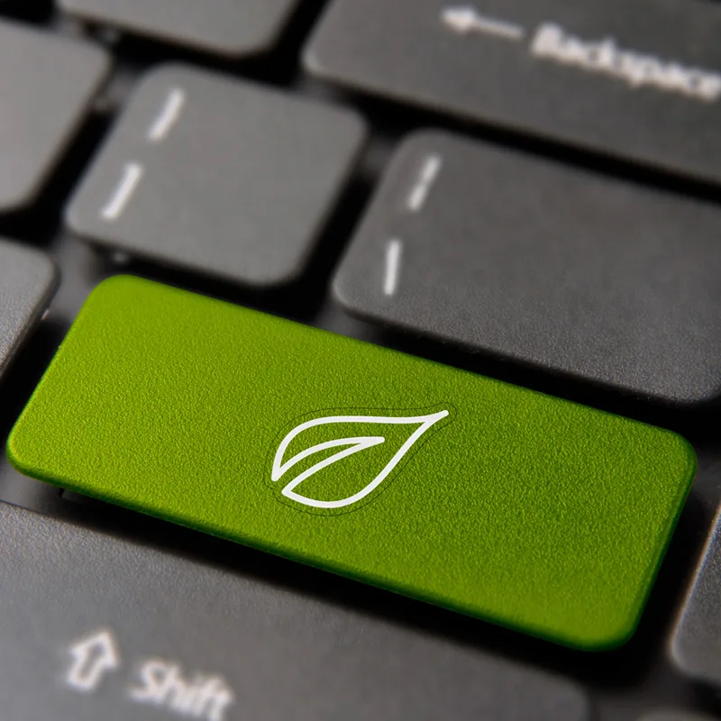 The Sustainability Community is Undergoing a Profound Transformation